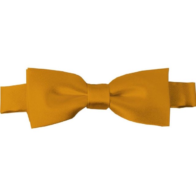 NYFASHION101 Boys' Solid Color Adjustable PreTied Bow Ties Gold Bar