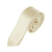 NYFASHION101 Men's Solid Color 2" Skinny Tie, Platinum