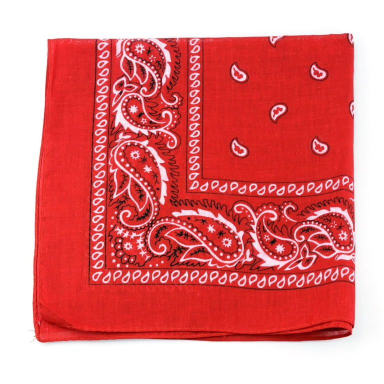 NYFASHION101 Unisex Double Sided Print Paisley Cotton Bandana Head