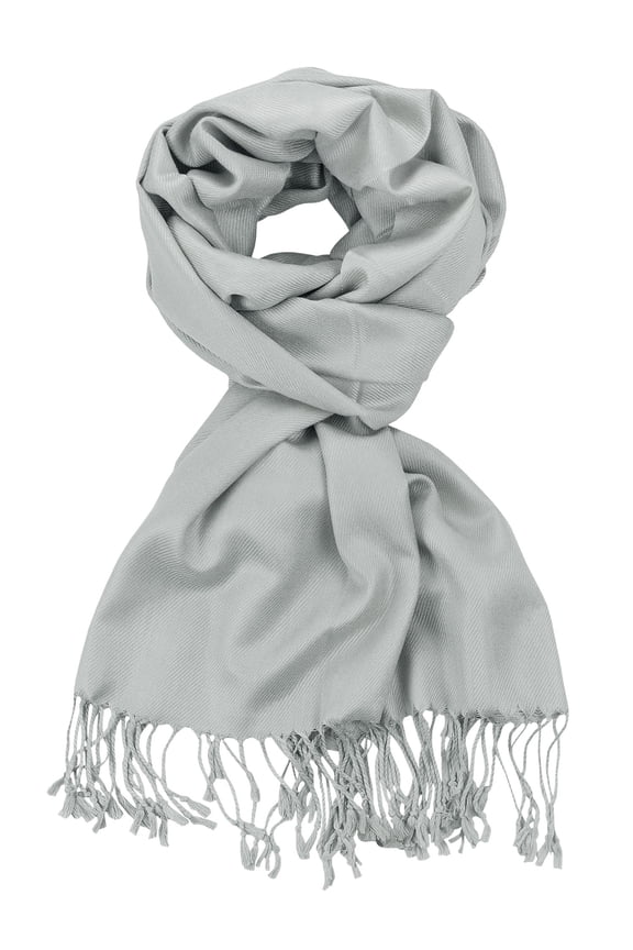 Women's Fabulous Plus Size Soft Pashmina Viscose Scarf Shawl Wrap, Silver #28