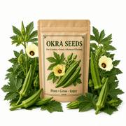 NYGardenia Okra Seeds, 45+ Vegetable Seeds for Planting