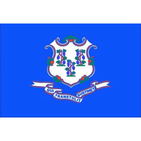 NYLGLO 140760 Connecticut State Flag,3x5 Ft