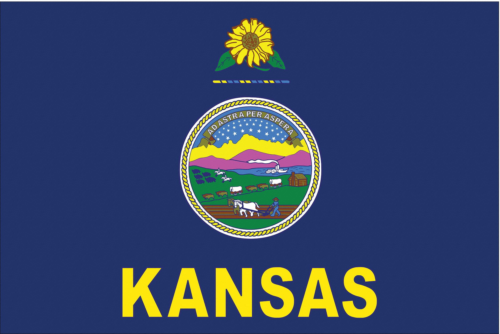 NYLGLO 141860 Kansas State Flag,3x5 Ft