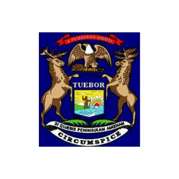 NYLGLO 142660 Michigan State Flag,3x5 Ft