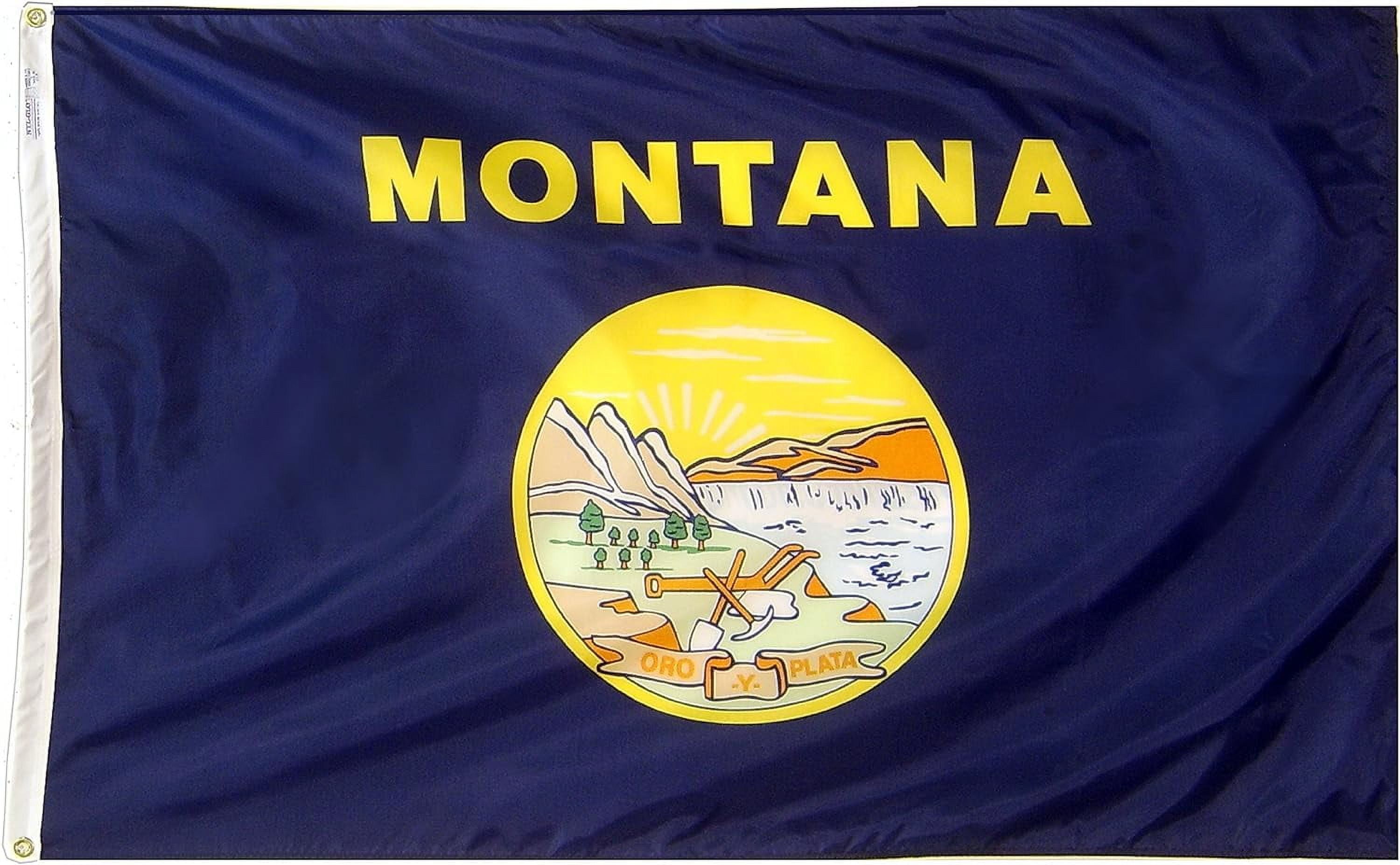 Montana State Flag 3x5 ft, Blue Polyester with Brass Grommets