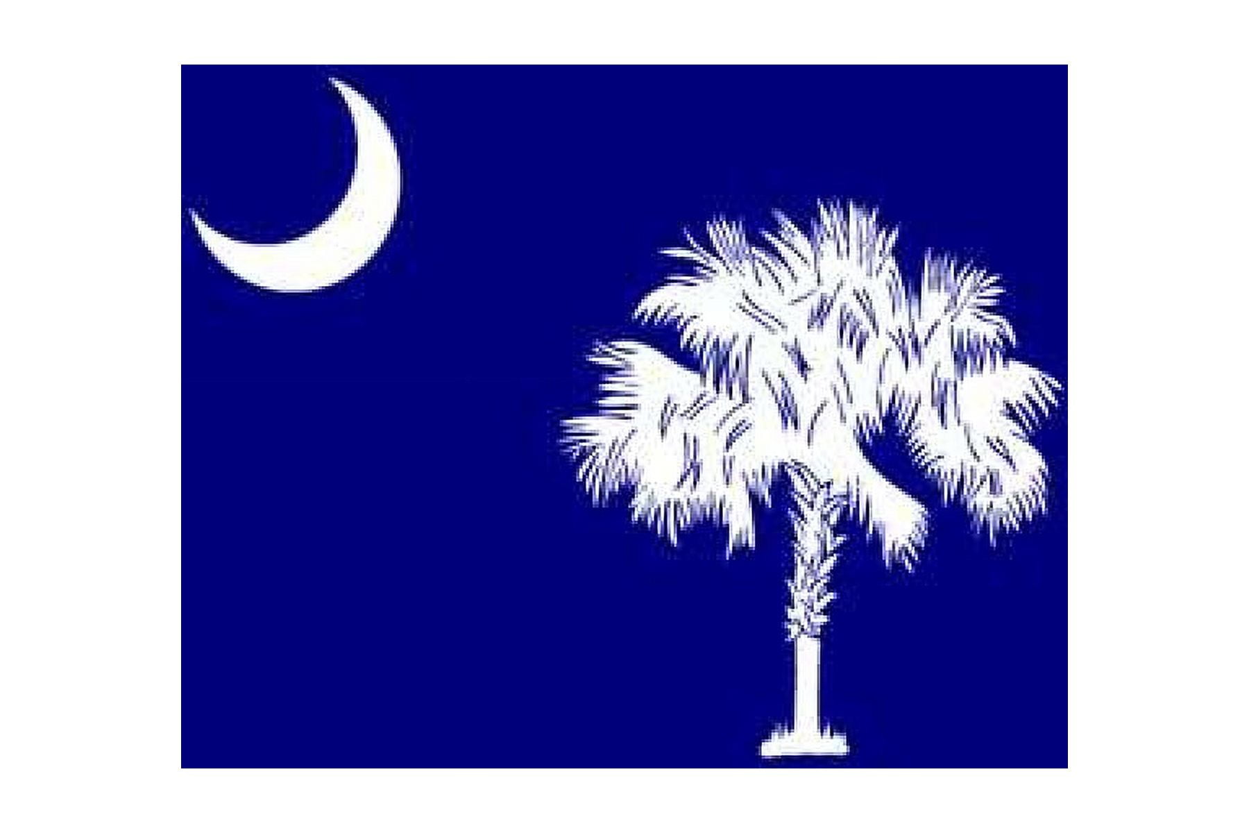 NYLGLO 2062 South Carolina State Flag,3x5 Ft
