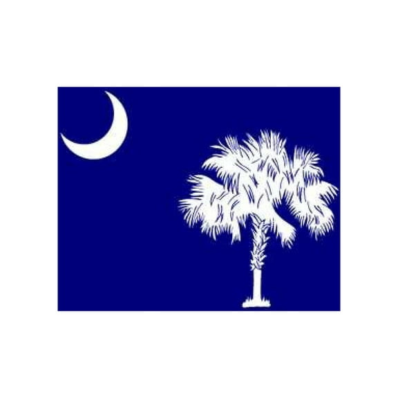 NYLGLO 2062 South Carolina State Flag,3x5 Ft