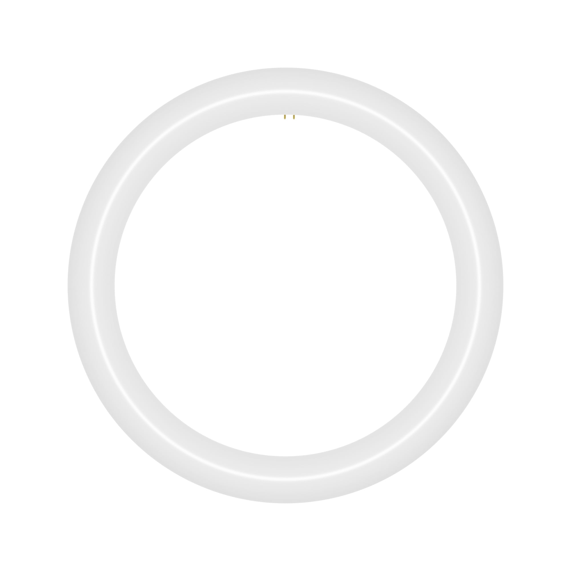 NYLL 12 inch T9 Circline Type A Plug & Play LED Lamp, Cool White (4100K ...