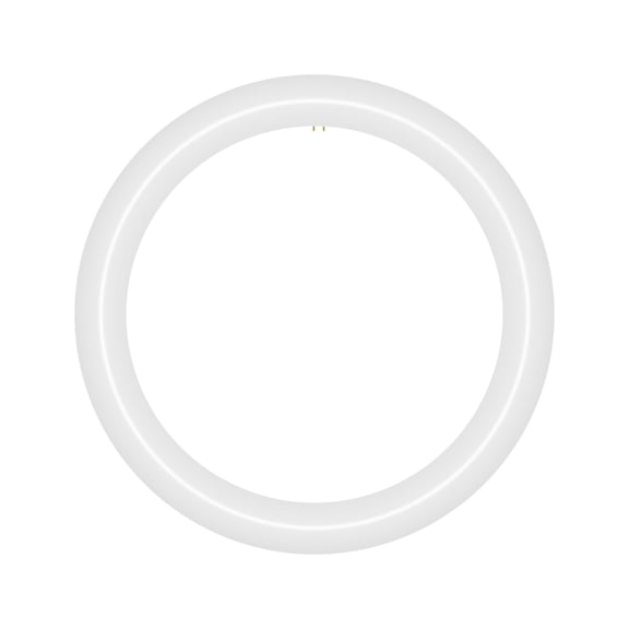 NYLL 12 inch T9 Circline Type A Plug & Play LED Lamp, Daylight (6000K) Direct Replacement for 32W FC12T9/D, FCL32W (Without Rewiring or Modification) Ballast Required!