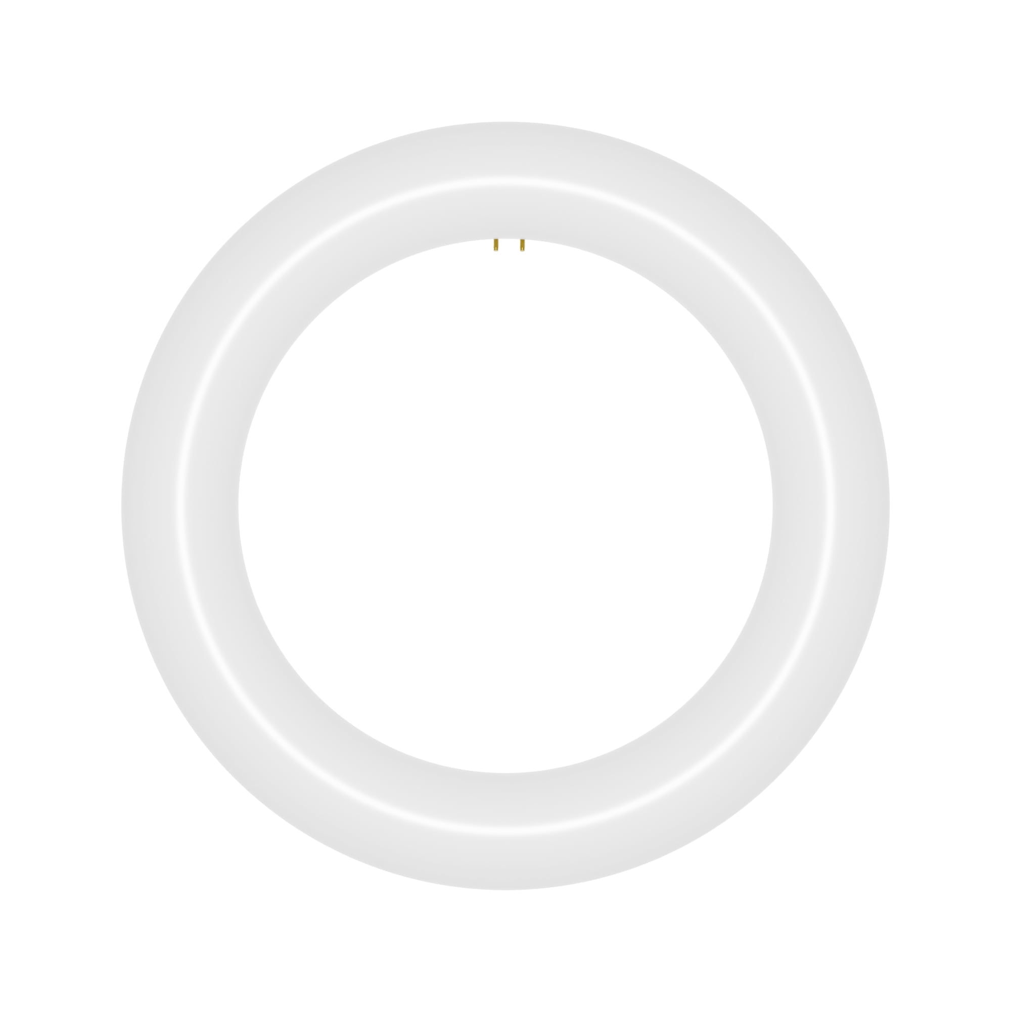 NYLL 8 inch T9 Circline Type A Plug & Play LED Lamp, Daylight (5000K ...