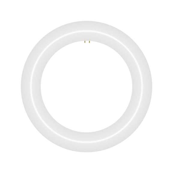 NYLL 8 inch T9 Circline Type A Plug & Play LED Lamp, Warm White (2700K) Direct Replacement for 22W FC8T9/WW (Without Rewiring or Modification) Ballast Required!