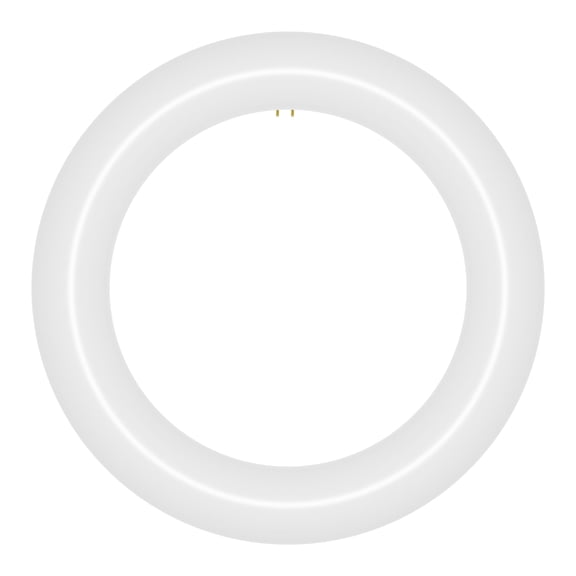 NYLL 9 inch T9 Circline Type A Plug & Play LED Lamp, Daylight (6000K) Direct Replacement for 30W FC9T9, FCL30 (Without Rewiring or Modification) Ballast Required!