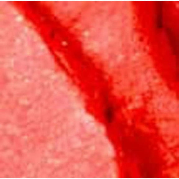 NYX Round Case Lipstick Lip Cream 583A Haute Melon