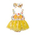 thumbnail image 1 of NZRVAWS Newborn Baby Girl Summer Romper Sleeveless Floral Print Romper Gauzy Skirt and Headband Baby Girl Dress 6-12 Months, 1 of 9