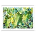 thumbnail image 1 of Na Kalo (Taro) - Native Hawaii Taro Leaf Plant - Taro Patch (Lo’i) - From an Original Hawaii Watercolor Painting by Peggy Chun - Fine Art Matte Paper Print (Unframed) 18x24in, 1 of 4