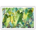 thumbnail image 1 of Na Kalo (Taro) - Native Hawaii Taro Leaf Plant - Taro Patch (Lo’i) - From an Original Hawaii Watercolor Painting by Peggy Chun - Master Art Print (Unframed) 12in x 18in, 1 of 4