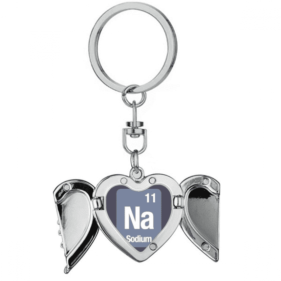 Na Sodium Checal Element Science Heart Angel Wing Key Chain Holder
