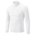 thumbnail image 1 of NaWent Men's Slim Fit Turtleneck Sweater Casual Twisted Knitted Pullover Sweaters White 16(XXXXXL), 1 of 2