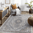 thumbnail image 1 of Naar Marfi 5X7 Area Rug, Blue/Cream Bordered, Non-Slip and Non-Shedding Area Rugs for Home Bedroom, Kitchen Floor, Bathroom, Dining and Office, 1 of 5