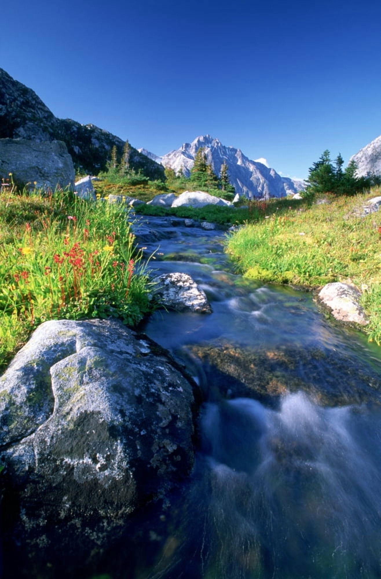 Nabob Pass Mt Mercator Waddington Area British Columbia Canvas Art - David Nunuk Design Pics (22 x 36)