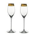 thumbnail image 1 of Nachtmann Muse Fine Crystal Champagne Glass, Set of 2, 1 of 1
