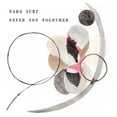 thumbnail image 1 of Nada Surf - Never Not Together - Rock - Vinyl, 1 of 1