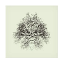 Trademark Fine Art Nadav Jonas Rorschach Test Canvas Wall Art - 24x24