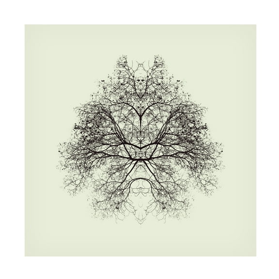 Trademark Fine Art Nadav Jonas Rorschach Test Canvas Wall Art - 14x14