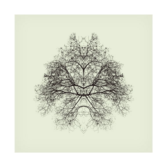 Trademark Fine Art Nadav Jonas Rorschach Test Canvas Wall Art - 35x35
