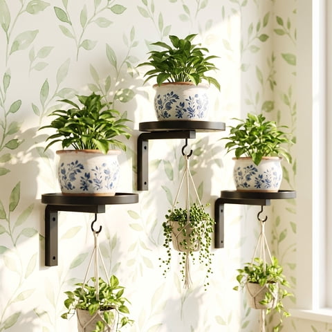 Naeqieo Plant Wall Hanger Set of 3, Metal Plant Holder for Indoor Outdoor, Wall Mounted Floating Flower Display Stand with Hooks, Space Saving Plant Shelf for Window Home Decor, Black