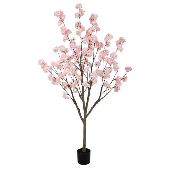 Cherry Blossom Trees