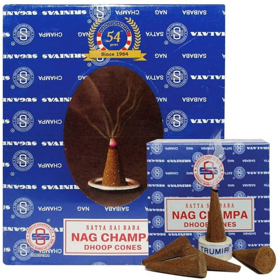 Nag Champa Incense Cones And Cone Incense Burner Bundle Insence Insense Satya Incense