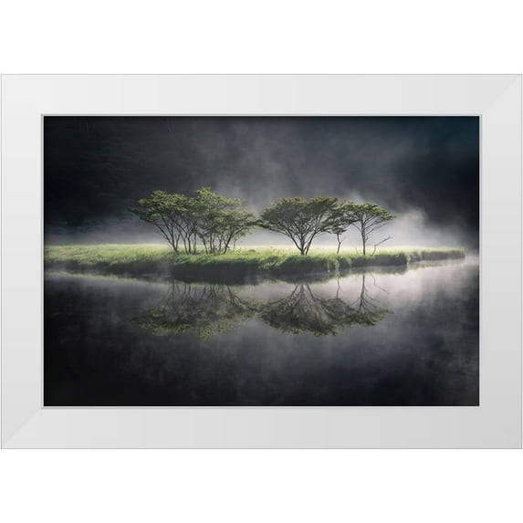 Nagase, Akira 24x17 White Modern Wood Framed Museum Art Print Titled - illuminate