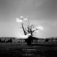 thumbnail image 1 of Kazuya Nagaya - Dream Interpretation (Remixes) - Music & Performance - Vinyl, 1 of 1