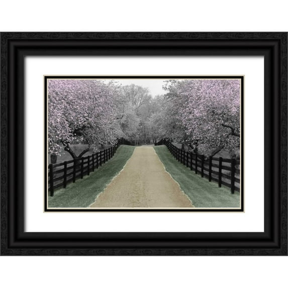 Nagler, Monte 14x11 Black Ornate Wood Framed with Double Matting Museum Art Print Titled - Apple Blossom Lane