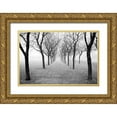 thumbnail image 1 of Nagler, Monte 32x23 Gold Ornate Wood Framed with Double Matting Museum Art Print Titled - Tunnel of Trees, 1 of 4