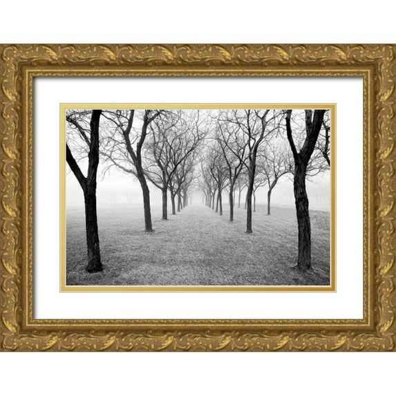 Nagler, Monte 32x23 Gold Ornate Wood Framed with Double Matting Museum Art Print Titled - Tunnel of Trees