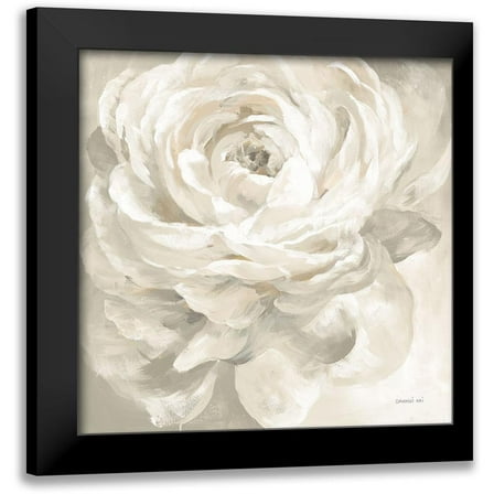 Nai, Danhui 12x12 Black Modern Framed Museum Art Print Titled - White Rose Gray