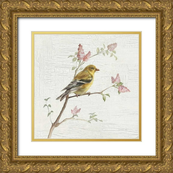 Nai, Danhui 12x12 Gold Ornate Wood Framed with Double Matting Museum Art Print Titled - Female Goldfinch Vintage