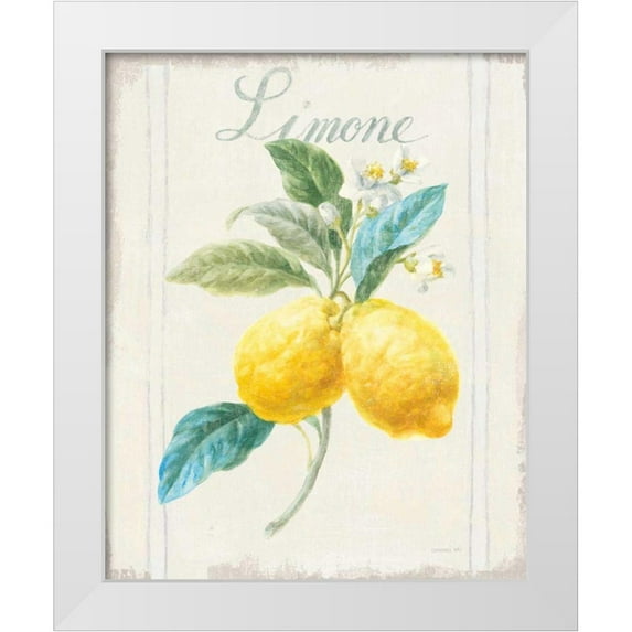 Nai, Danhui 12x14 White Modern Wood Framed Museum Art Print Titled - Floursack Lemon III v2