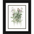 thumbnail image 1 of Nai, Danhui 15x18 Black Ornate Wood Framed with Double Matting Museum Art Print Titled - Sprigs of June I White, 1 of 4