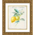 thumbnail image 1 of Nai, Danhui 15x18 Gold Ornate Wood Framed with Double Matting Museum Art Print Titled - Floursack Lemon II v2, 1 of 4