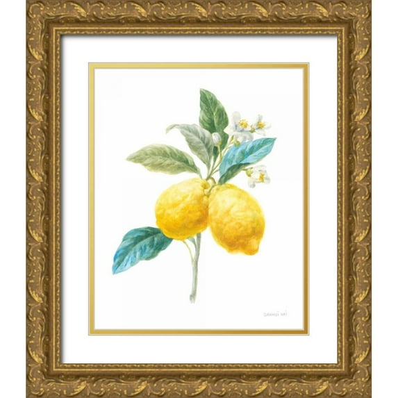 Nai, Danhui 15x18 Gold Ornate Wood Framed with Double Matting Museum Art Print Titled - Floursack Lemon IV on White