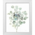 thumbnail image 1 of Nai, Danhui 15x18 White Modern Wood Framed Museum Art Print Titled - Eucalyptus III Cool, 1 of 4