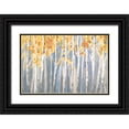 thumbnail image 1 of Nai, Danhui 18x13 Black Ornate Wood Framed with Double Matting Museum Art Print Titled - Golden Birches Spice, 1 of 4