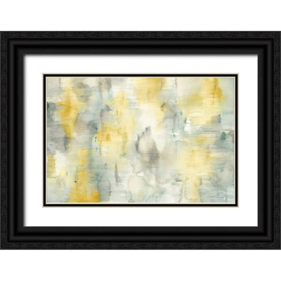 Nai, Danhui 18x13 Black Ornate Wood Framed with Double Matting Museum Art Print Titled - Summer Shower v2 Crop