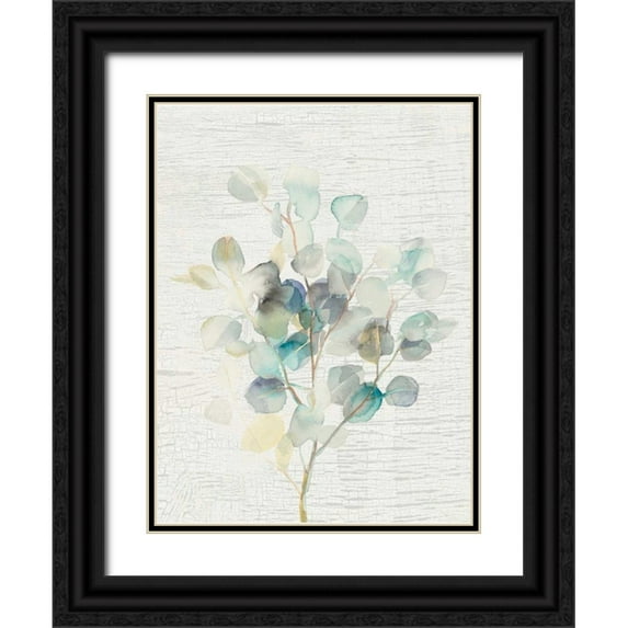 Nai, Danhui 19x24 Black Ornate Wood Framed with Double Matting Museum Art Print Titled - Eucalyptus III Vintage