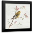 thumbnail image 1 of Nai, Danhui 20x20 Black Modern Framed Museum Art Print Titled - Female Goldfinch Vintage, 1 of 5