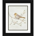 thumbnail image 1 of Nai, Danhui 20x24 Black Ornate Wood Framed with Double Matting Museum Art Print Titled - Northern Oriole Vintage v2, 1 of 4