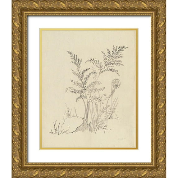 Nai, Danhui 20x24 Gold Ornate Wood Framed with Double Matting Museum Art Print Titled - Vintage Nature Sketchbook VI